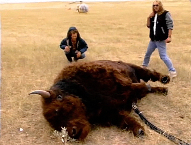 KNB EFX: How the Buffalo Props Were Made